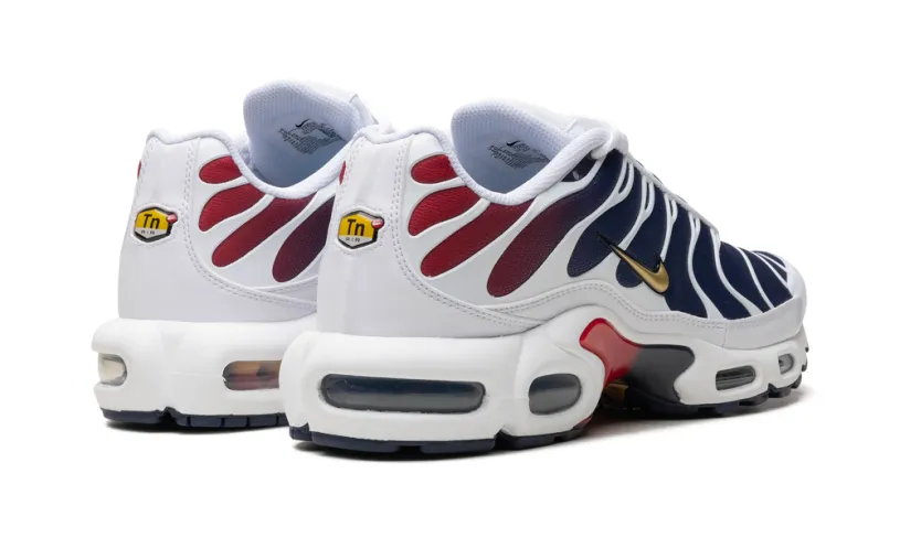 Nike Air Max Air Max Plus 'PSG'